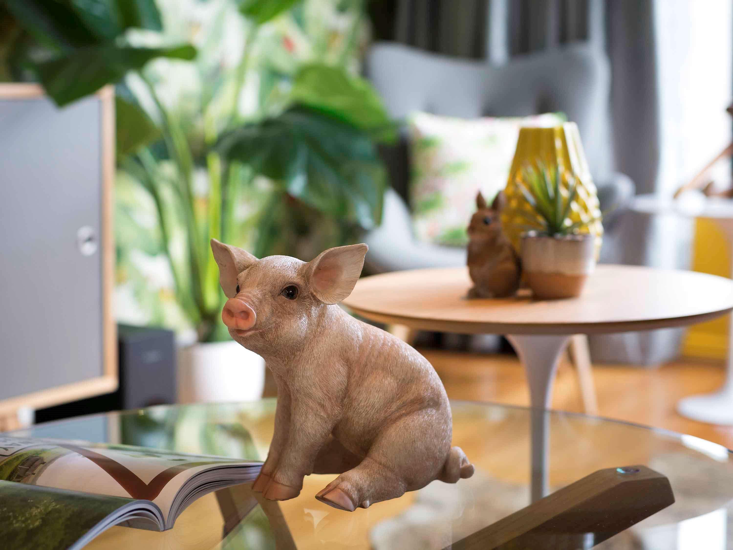 Pullman Sydney Hyde Park Hotel Kültér fotó A piglet